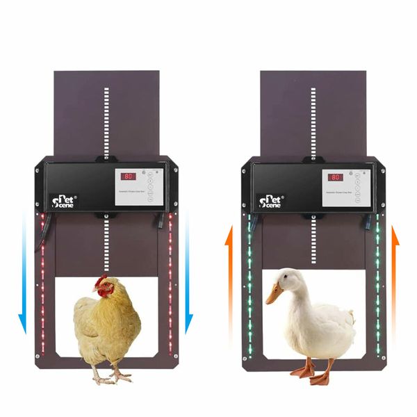 Petscene Automatic Chicken Coop Door Opener Kit LED Lights Timer Light Sensor Remote Waterproof