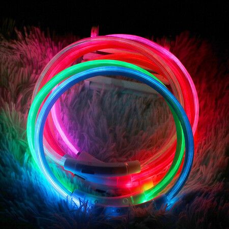 USB LED pet night collar for glowing dogs rechargeable glowing LED night safety rechargeable(70cm)