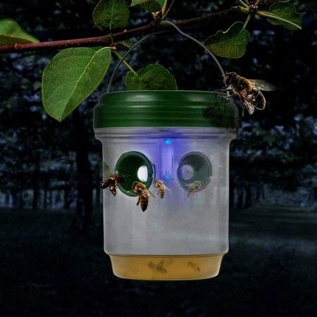 LED Drosophila Trap Mosca Gupe and Mousche Solar LED Fly Traps Outdoor Wasp