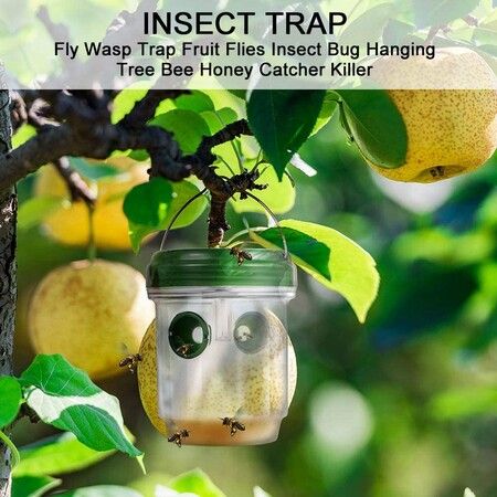 LED Drosophila Trap Mosca Gupe and Mousche Solar LED Fly Traps Outdoor Wasp