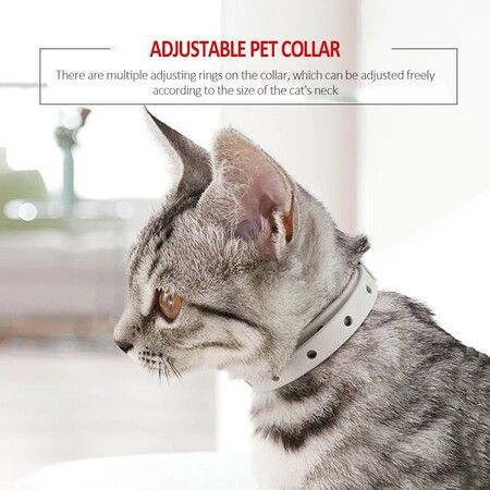 Adjustable Cats Necklet Accessories Anti Mosquito Flea Collar Insect Repellent Long Term Protection (4pack)