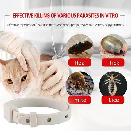 Adjustable Dogs Necklet Accessories Anti Mosquito Flea Collar Insect Repellent Long Term Protection (4pack)