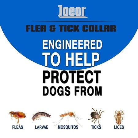 Flea and Tick Collar for Cats, 8-month Flea and Tick Collar for Cats 38cm