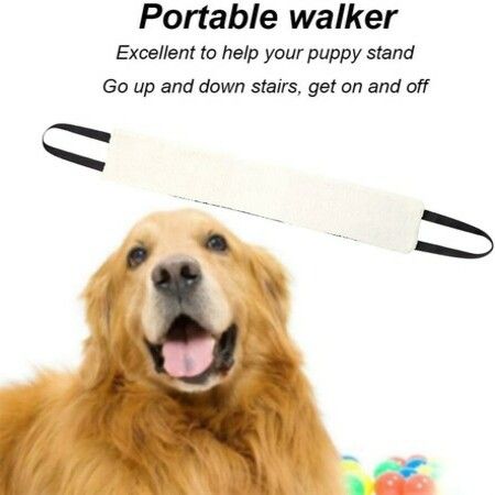 Portable Dog Sling for Back Legs, Dog Lift, Walking Pet Support Assist Tool For Dog (Gray)