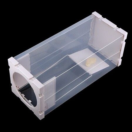 Humane Rat Cage,Humane Rat Trap Cage Live Animal Pest Rodent Mice Mouse Control Bait Catch, Bait Catch