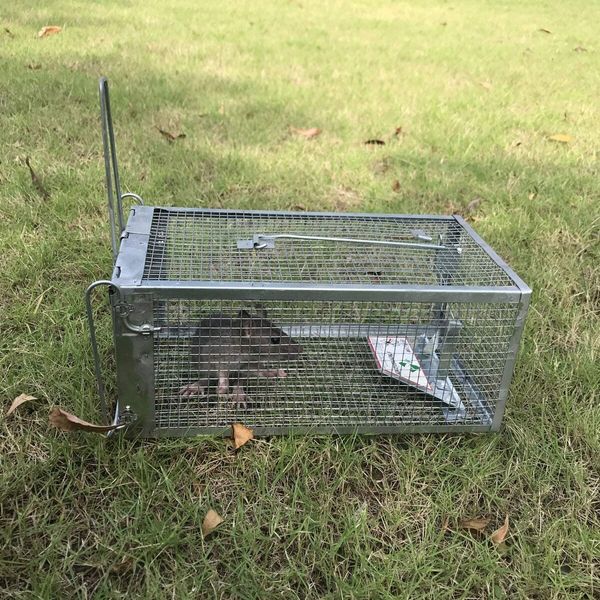 Humane Rat Trap, Chipmunk Rodent Trap That Work for Indoor and Outdoor