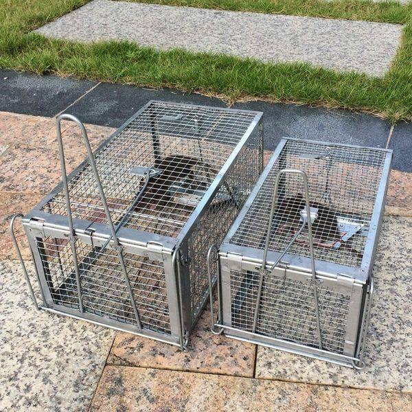 Humane Rat Trap, Chipmunk Rodent Trap That Work for Indoor and Outdoor