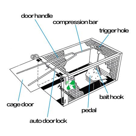 Humane Rat Trap, Chipmunk Rodent Trap That Work for Indoor and Outdoor