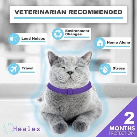 Pet Calming Collar Relaxing Anxiety Reliever Eliminate Anxiety Collar for Small Dogs Cats (Length 38CM)