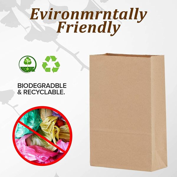 100 Pack Brown Paper Lunch Bags  Kraft Paper Bags Lunch Snacks