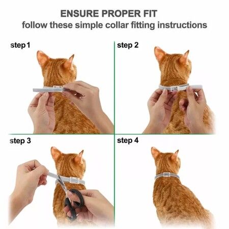 Natural and Safe Flea and Tick Collar for Cats -8 Months Protection 38CM - One Size Fits All - 2 Pack