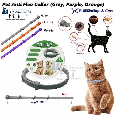 Natural and Safe Flea and Tick Collar for Cats -8 Months Protection 38CM - One Size Fits All - 2 Pack