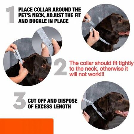 Flea Tick Collar for Dogs - 8 Months Protection - Hypoallergenic,65cm Adjustable And Waterproof Dog Collar (2Pack)