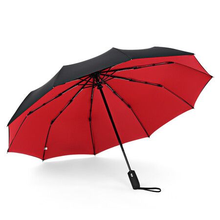 Windproof Double Layer Resistant Full Automatic Umbrella for Men Women