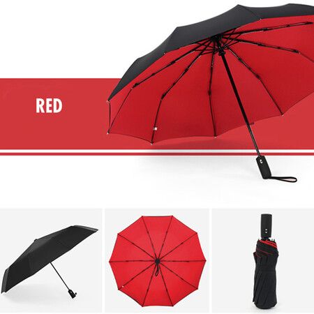 Windproof Double Layer Resistant Full Automatic Umbrella for Men Women