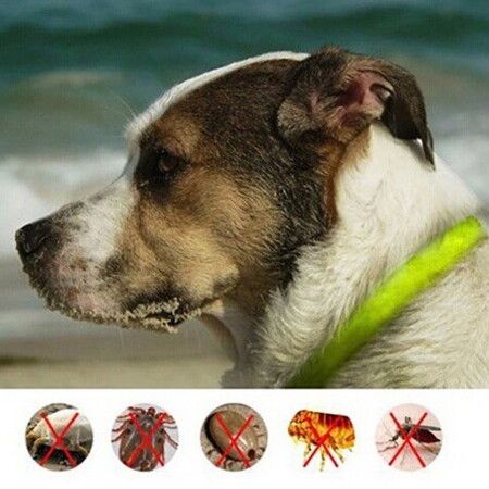 60cm Dog Flea and Tick Collar 4 Months Protection for Dog Cat, Anti Lice Pest Mosquitoes  Color Random send