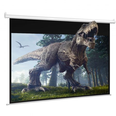 Projector Movie Screen 100 Inch Electric Motorized Portable Large Home Theatre HD 3D