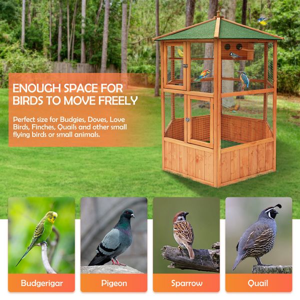 Petscene Bird Cage Aviary XL Size Wooden Cockatiel Budgie Pigeon Parrot Coop 