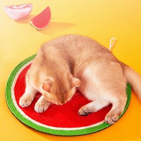 Cat Scratching Sisal Plate Cute Cushion Scratch Resistance Pet Scratching Toys