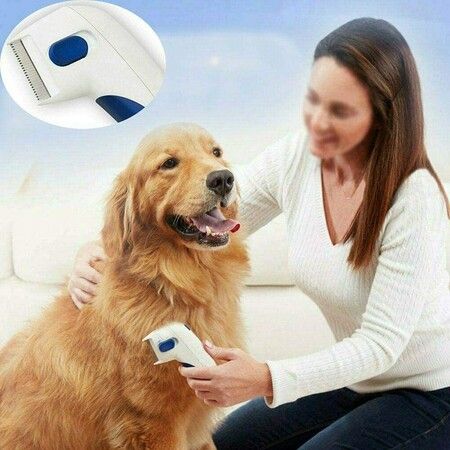 Pet comb for dogs, cats, uitable for daily maintenance and care