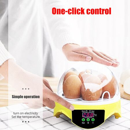 7 Eggs Incubators Hatching Eggs, Temperature Control and LED Display for Chicken Duck and Goose Eggs