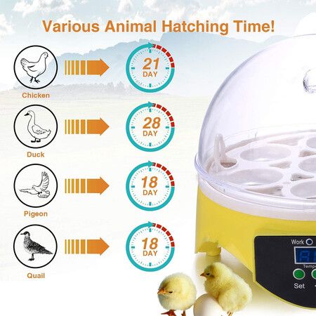 7 Eggs Incubators Hatching Eggs, Temperature Control and LED Display for Chicken Duck and Goose Eggs