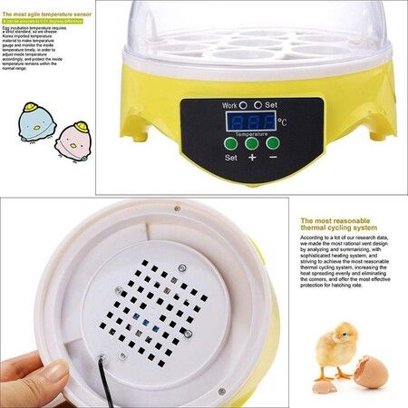 7 Eggs Incubators Hatching Eggs, Temperature Control and LED Display for Chicken Duck and Goose Eggs