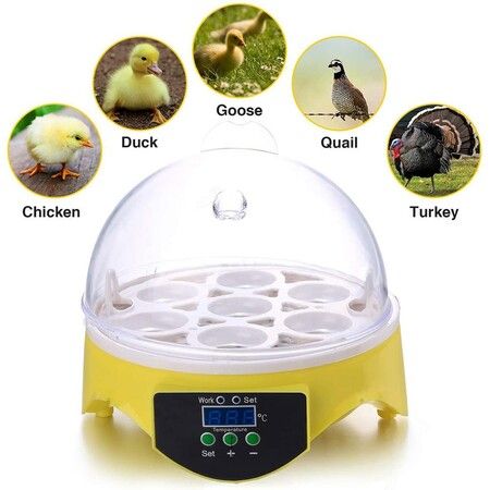 7 Eggs Incubators Hatching Eggs, Temperature Control and LED Display for Chicken Duck and Goose Eggs