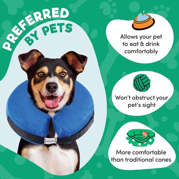 Protective Inflatable Collar for Dogs and Cats (32-45CM)