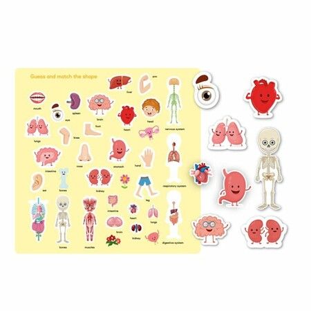 Children's Stickers, Activity Books, Children's Cognitive-guide Stickers