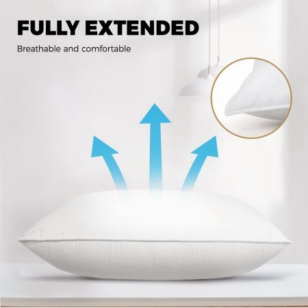 Bedding Pillow Goose Feather Down Pillows Twin Pack Standard Size Hotel