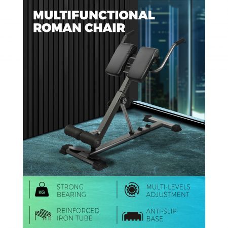 Finex Weight Bench Back Hyperextension Roman Chair Home Gym Equipments Fitness