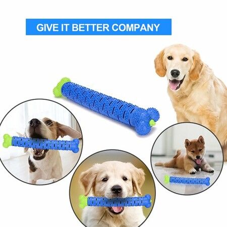 Tough And Durable Dog Chew Toys Toothbrush Dog Toys For Medium Small Breed Doggy