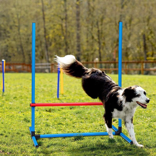 Petscene Dog Agility Equipment 5PC Set Obstacle Course Pet Training Kit Supplies Jump Hurdle Tunnel Poles Pause Box Carrying Bags