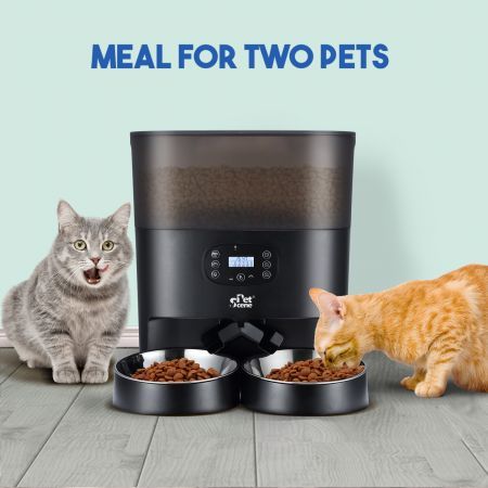 Automatic Pet Cat Feeder Dog Auto Dual Bowls Timed Food Dispenser 6L with Voice Recorder Petscene Black