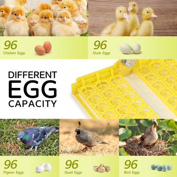 Petscene 96 Eggs Incubator Automatic Egg Hatcher Digital Hatching Brooder Temperature Humidity Control Turner LED Display