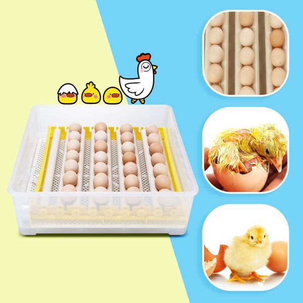 Petscene 56 Eggs Incubator Egg Hatching Machine Clear View with Automatic Roller Turner Temperature Control