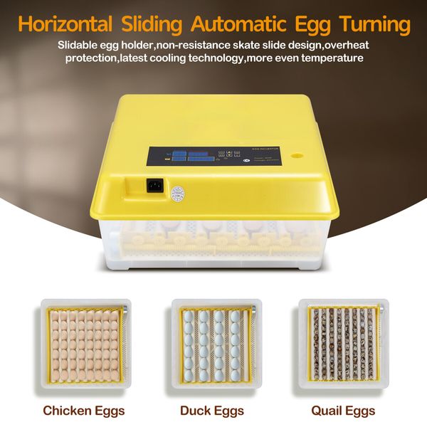 Petscene 56 Eggs Incubator Egg Hatching Machine Clear View with Automatic Roller Turner Temperature Control