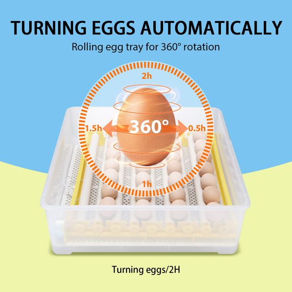 Petscene 56 Eggs Incubator Egg Hatching Machine Clear View with Automatic Roller Turner Temperature Control