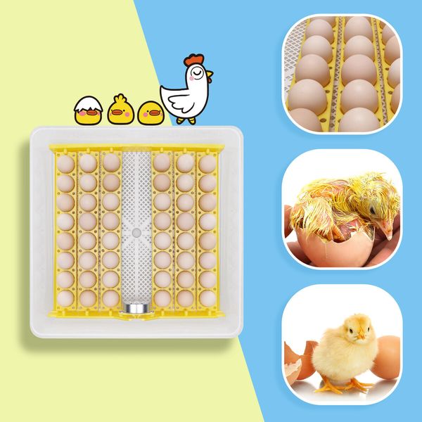 Petscene 48 Eggs Incubator Automatic Turner Hatcher Egg Hatching Incubating Machine Brooder Humidity Temperature Control 