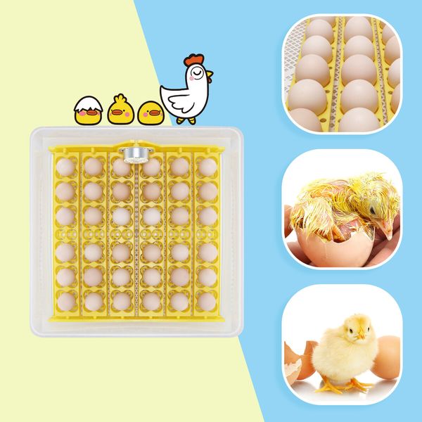 Petscene 36 Eggs Automatic Incubator Hatching Hatcher Machine Egg Turning LED Display with Four-Leaf Clover-Shaped Tray 