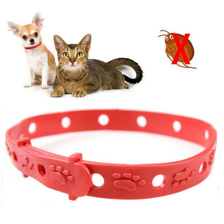 Adjustable Pet Flea Collar Neck Strap Outdoor Pet Protection Aroma Killing Mite Lice for Cats And Small Dog