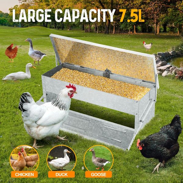 Chicken Feeder Auto Poultry Feeding Equipment Rat Bird Proof Waterproof Galvanized Steel Lid Opening 7.5L