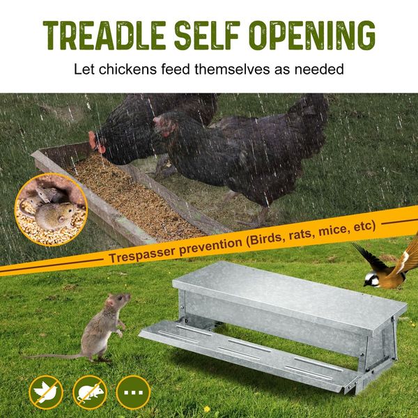 Chicken Feeder Auto Poultry Feeding Equipment Rat Bird Proof Waterproof Galvanized Steel Lid Opening 7.5L