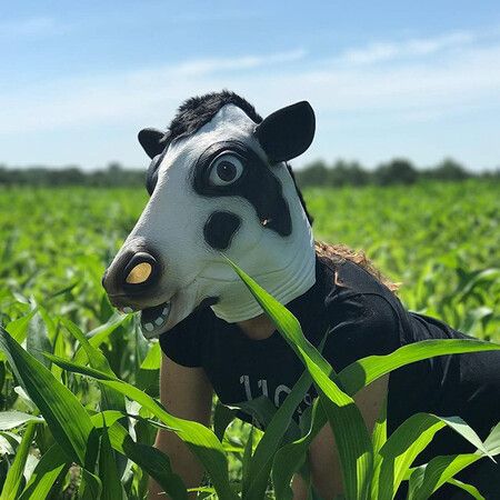 Cow Head Animal Mask, Funny Adult Cow Mask for Dress Up Cow Masks