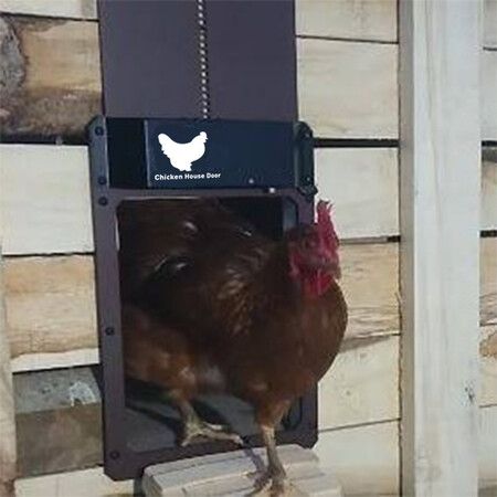 Automatic Chicken Coop Door Light Sensing Evening and Morning Delayed Opening Timer Poultry Chicken Duck Henhouse Door Opener