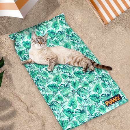 Pet Cooling Mat Cat Dog Gel Non-Toxic Small