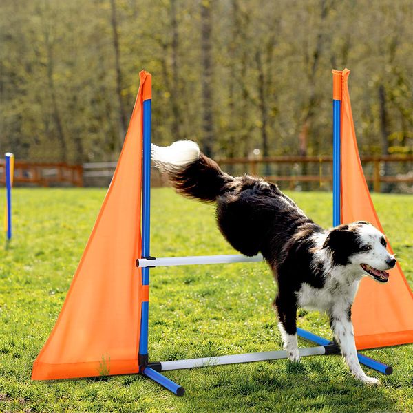 Dog Agility Equipment Obstacle Training Course 7 Set Pet Toys Supplies Hurdle Jump Tire Tunnel Pause Box Weave Poles Frisbees Balls Carry Bags