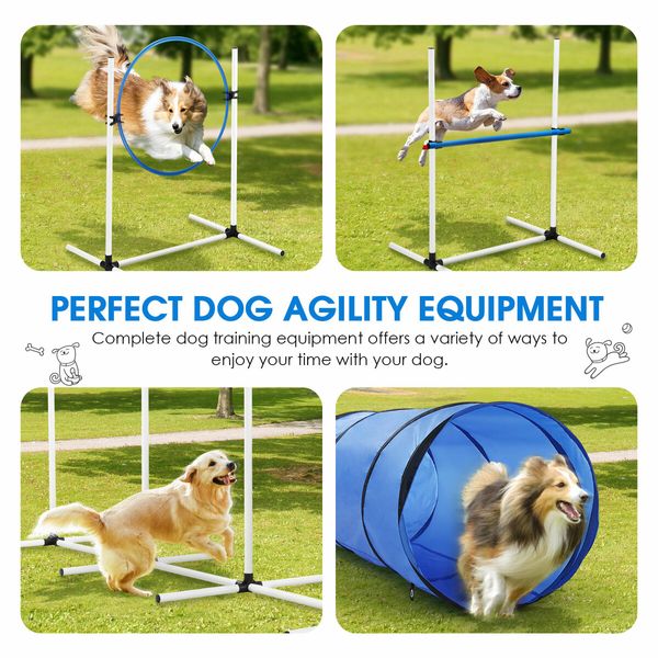 7PCS Dog Agility Equipment Obstacle Course Pet Training High Tire Hurdle Jump Exercise Supplies Sports Tunnel Weave Pole Pause Box with Bags