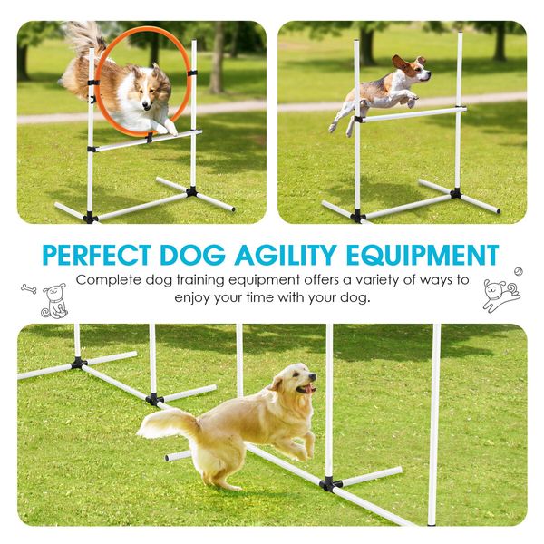 5PCS Dog Agility Equipment Set Pet Obstacle Course Hurdle Jump Training Exercise Supplies Toys Sports High Hoop Weave Pole Pause Box with Bag